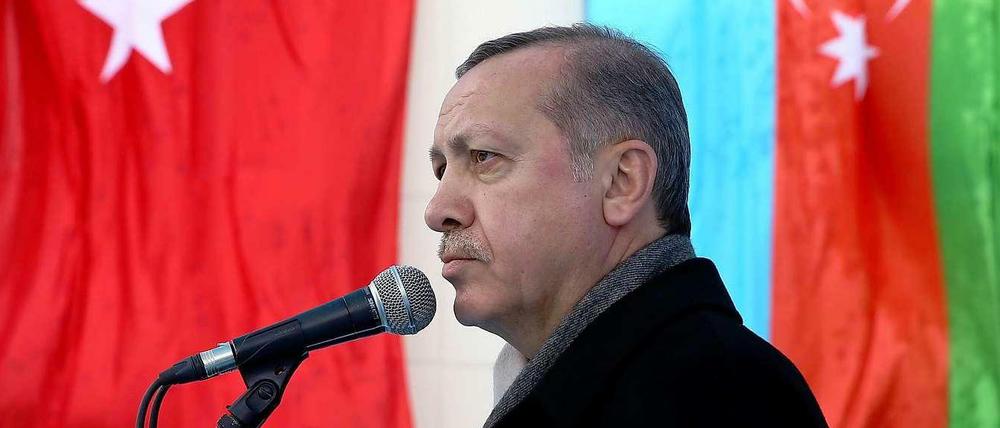 Staatspräsident Recep Tayyip Erdogan fühlt sich von Zeichnern einer türkischen Satire-Zeitschrift beleidigt. Die Karikaturisten wurden zu Geldstrafen verurteilt.