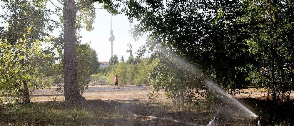 Blick auf einen Teil der neuen Erweiterungsfläche des Mauerparks in Berlin.