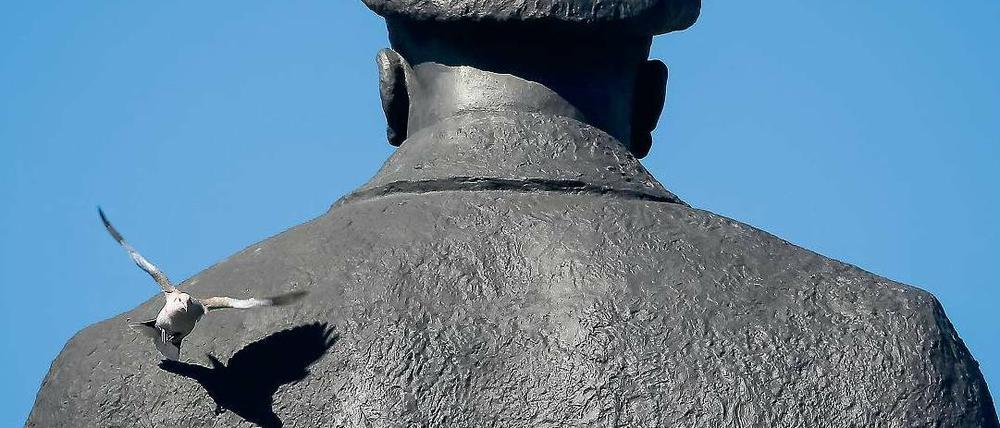 Eine Taube und ein Revolutionsführer. Die Leninstatue in Slowjansk hat die Wirren in der Ukraine überlebt.