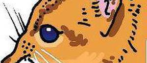 Winzig, plüschig, gemein: Rüsselspringer.