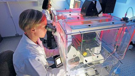 Mehr Durchblick. Das im ersten Durchgang umstrittene „U-Multirank“ wurde jetzt etwas vereinfacht. 