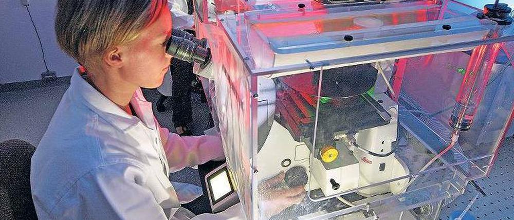 Mehr Durchblick. Das im ersten Durchgang umstrittene „U-Multirank“ wurde jetzt etwas vereinfacht.