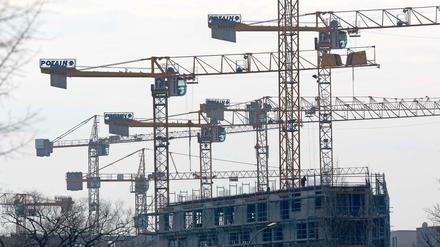 Links von der Straße sprießen Mauern, rechts blüht seit Tagen der Beton.