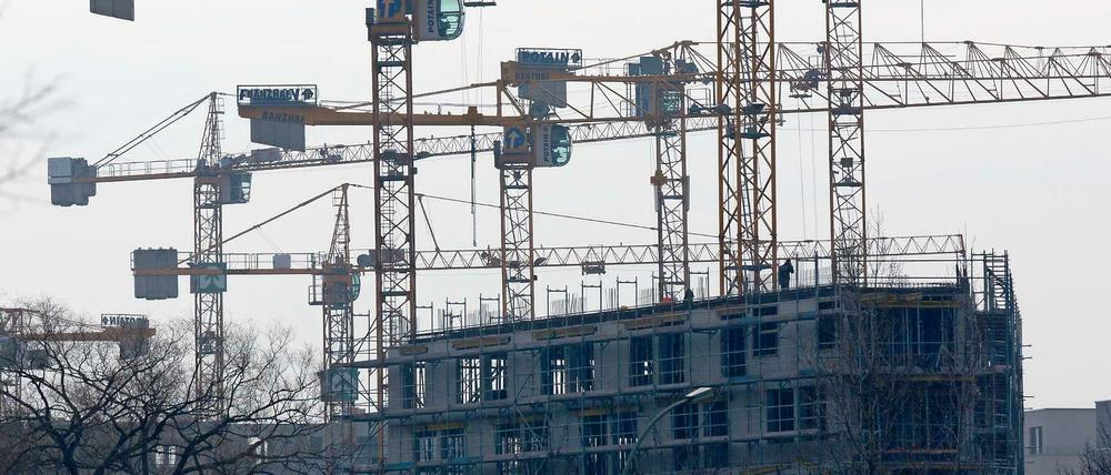 Links von der Straße sprießen Mauern, rechts blüht seit Tagen der Beton.