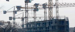 Links von der Straße sprießen Mauern, rechts blüht seit Tagen der Beton.