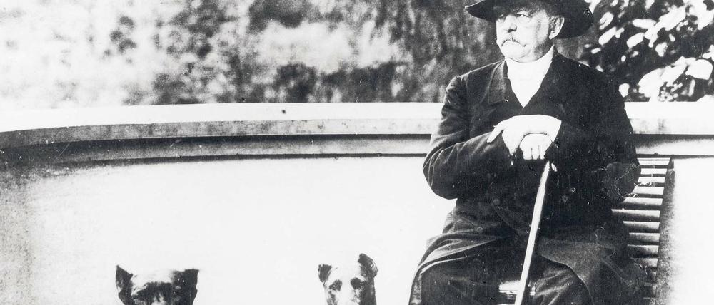 Der Alte von Friedrichsruh. Bismarck 1891 mit seinen geliebten Doggen. 