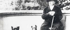Der Alte von Friedrichsruh. Bismarck 1891 mit seinen geliebten Doggen. 