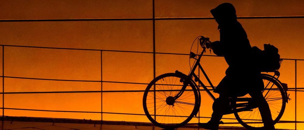 Wenn genug Platz vorhanden ist, stört es niemanden, wenn Sie Ihr Fahrrad schieben. Aber drängeln Sie sich bitte nicht durch Menschenmengen!