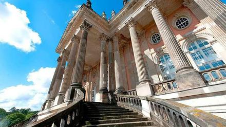 Die Universität Potsdam.