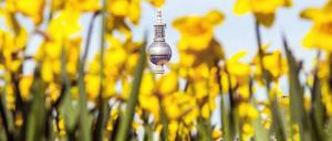 Ostern ohne ihn? Der Fernsehturm war mehr als zwei Tage lang geschlossen, weil die Aufzüge nicht funktionierten.