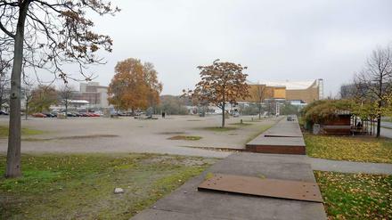Ein weiter Sandplatz, auf dem selbst den Bäumen die Lust am Wachsen vergeht.
