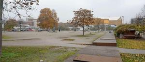 Ein weiter Sandplatz, auf dem selbst den Bäumen die Lust am Wachsen vergeht.