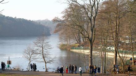 Schlachtensee in Zehlendorf: Spaziergänger, Familien, Jogger, nanu, gar kein Hund auf dem Foto?