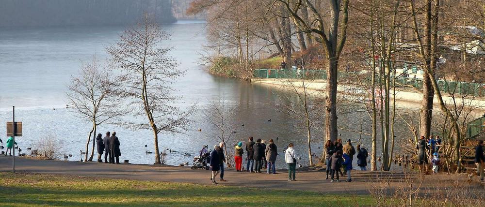 Schlachtensee in Zehlendorf: Spaziergänger, Familien, Jogger, nanu, gar kein Hund auf dem Foto?