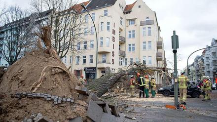In Berlin-Wedding ist dieser mächtige Baum auf ein Auto gestürzt. Feuerwehrleute zerlegen ihn.