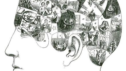 Spurensuche. Dass das Gehirn der Sitz aller geistiger Tätigkeit ist, postulierte Gall bereits im 19. Jahrhundert. Sein Erklärungsansatz – die Phrenologie – war jedoch eine Pseudowissenschaft.