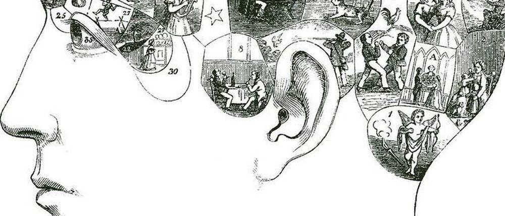 Spurensuche. Dass das Gehirn der Sitz aller geistiger Tätigkeit ist, postulierte Gall bereits im 19. Jahrhundert. Sein Erklärungsansatz – die Phrenologie – war jedoch eine Pseudowissenschaft.