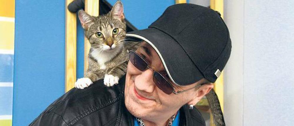 Katzenbeauftrager "Bär" kümmert sich um Baby und Dickerchen alias Bonnie und Clyde.