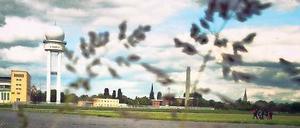 Frei bleibt frei. Der Volksentscheid zur Bebauung des Tempelhofer Felds 2014 war eine Niederlage für den Senat.