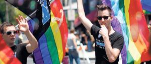 Pride Parade. Aktivisten haben in den vergangenen Jahren viele Rechte für Homosexuelle in den USA erkämpft, hier in Los Angeles. Doch Probleme bleiben.