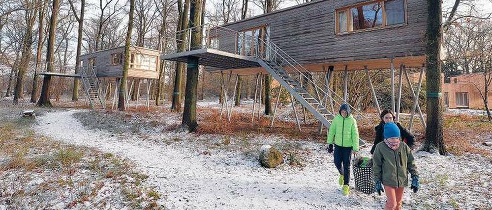 Schlafen auf Stelzen. Diese Familie hat’s im Resort „Baumgeflüster“ in Bad Zwischenahn (Niedersachsen) ausprobiert.