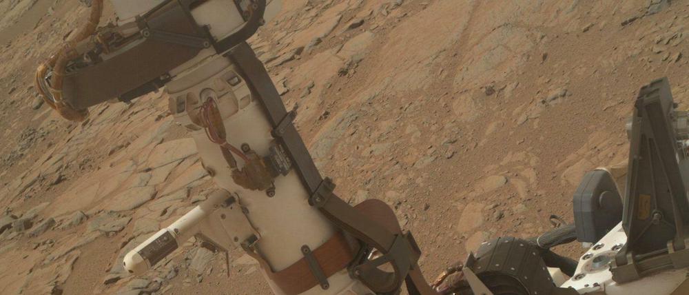Neugierig. Der Forschungsroboter "Curiosity" erkundet derzeit den Mars.
