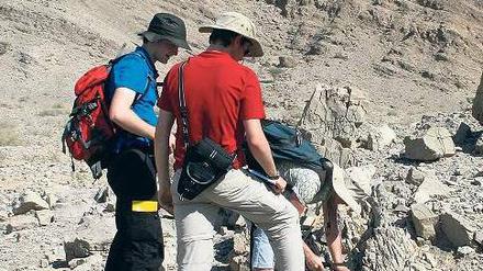 Suche nach Spuren des Massensterbens vor 252 Millionen Jahren im versteinerten Meeresboden einer einstigen Lagune.