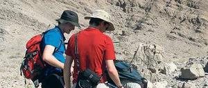 Suche nach Spuren des Massensterbens vor 252 Millionen Jahren im versteinerten Meeresboden einer einstigen Lagune.