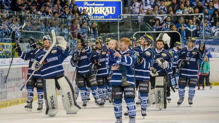 Kinder, war das schön. Der ERC Ingolstadt nach der gewonnenen Halbfinalserie gegen Düsseldorf.
