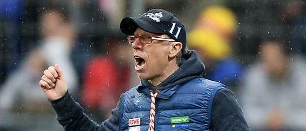Peter Stöger trainiert seit Juli 2013 den 1. FC Köln und führte den Klub zurück in die Bundesliga. Zuvor gewann der österreichische Ex-Nationalspieler mit Austria Wien das Double, 2006 als Sportdirektor, 2013 als Trainer.