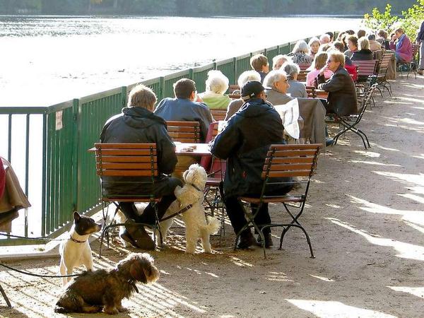 Beliebtes Ausflugsziel ist die Fischerhütte direkt am Schlachtensee. Alle kommen gerne hierher.