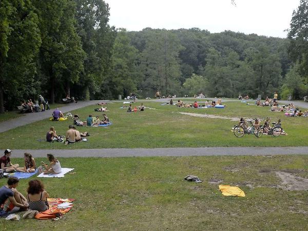 Im Hochsommer wird auf dieser Wiese vor allem Party gefeiert. Bis hinein in die Nacht. Auch das stört wiederum viele. Vor allem der Müll, der am nächsten Morgen zurückbleibt.