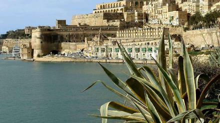 Malta. Ein Referendum soll darüber entscheiden, ob die Vogeljagd verboten werden soll.