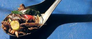Spinnenbein statt Eisbein. Insekten – ein Überlebensmittel der Zukunft? 