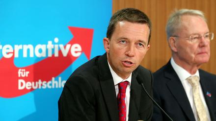 AfD-Chef Bernd Lucke (links) und Hans-Olaf Henkel im Juli 2014