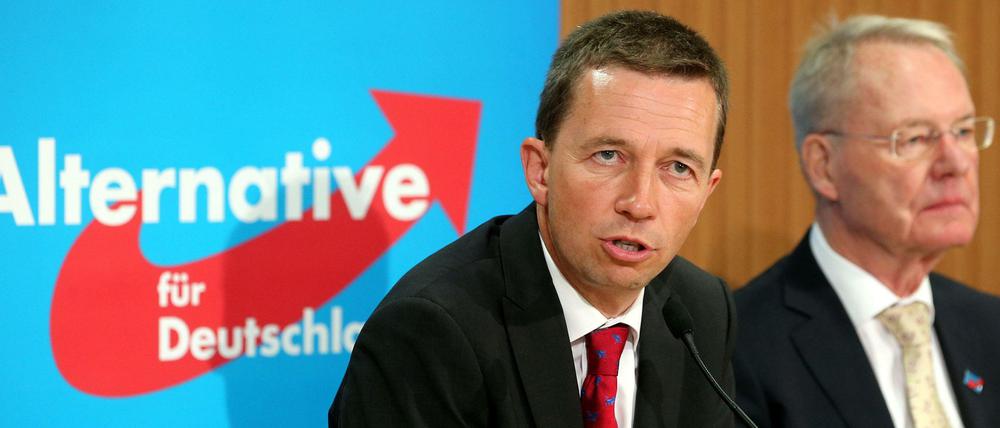 AfD-Chef Bernd Lucke (links) und Hans-Olaf Henkel im Juli 2014 