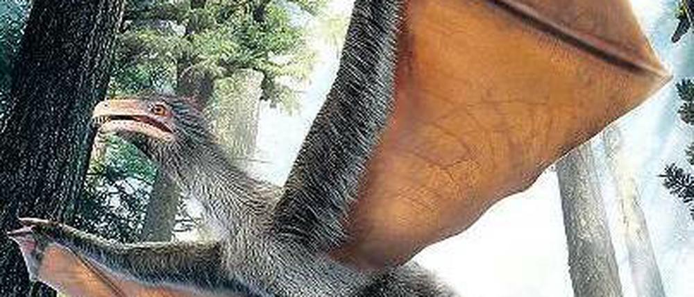 Draculas Urahn. So ungefähr könnte der jetzt entdeckte Dinosaurier mit Fledermausflügeln ausgesehen haben.