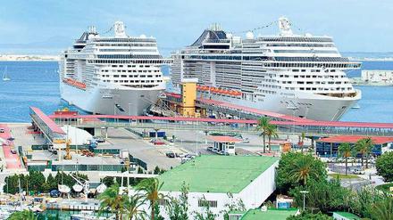 Mallorca ahoi! Schiffe der Mediterranean Shipping Company (MSC) sind jedoch nicht nur im Mittelmeer unterwegs. 