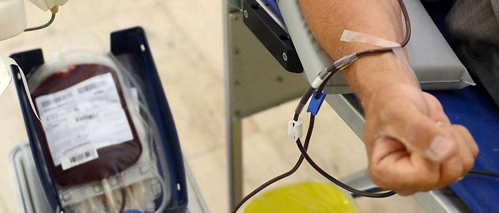 Homesexuelle dürfen in der Regel kein Blut spenden.