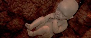 Chinesische Forscher versuchten, bei 84 befruchteten Eizellen ein krankhaftes Gen zu reparieren.