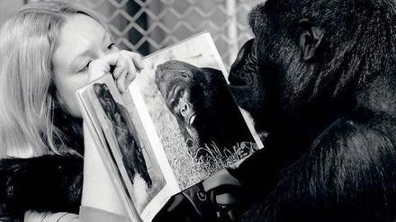 Ape Culture.
