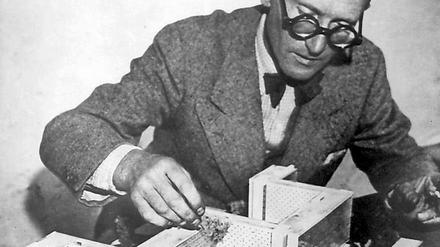 Der Architekt Le Corbusier (eigentlich Charles-Edouard Jeanneret-Gris), aufgenommen im Jahr 1952 mit dem Modell der Unité d'Habitation in Marseille. 