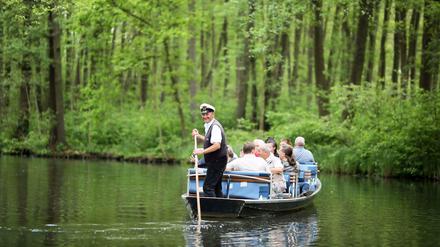 Es wird wärmer und damit machen auch wieder Bootstouren auf der Spree Spaß.