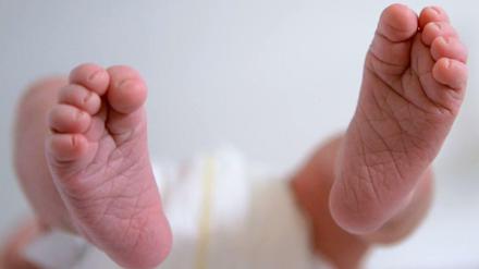 Die App "Baby-Berlin" beinhaltet Informationen für zukünftige Eltern. Sozialsenator Czaja stellte sie im Charlottenburger Rathhaus vor.