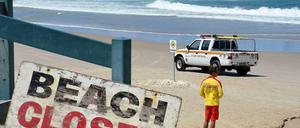 Haie greifen Menschen nur selten an. 2014 endeten zehn dieser Angriffe jedoch tödlich.