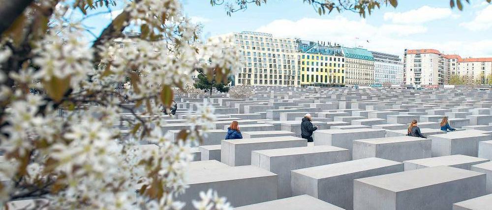 Wer auf engen Wegen ins Innere des Stelenfeldes vordringt, fühlt sich alsbald umschlossen von kalter Einsamkeit, gefangen zwischen grauen Mauern.