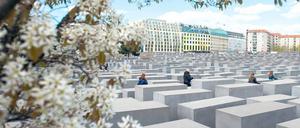 Wer auf engen Wegen ins Innere des Stelenfeldes vordringt, fühlt sich alsbald umschlossen von kalter Einsamkeit, gefangen zwischen grauen Mauern.