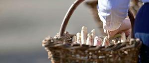 Das Festival "Spargel International" in den Beelitzer Heilstätten wurde abgesagt. Grund: Zu viel Erfolg.