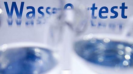 Um das Berliner Trinkwasser kümmern sich jetzt Bachflohkrebse.