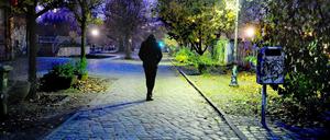 Im Görlitzer Park (hier ein Archivbild) kam es in der Nacht zu Donnerstag zu einem Angriff mit einer Machete.